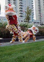 Xia Quan Leeuwendans Diner & Blanc Rotterdam 2011